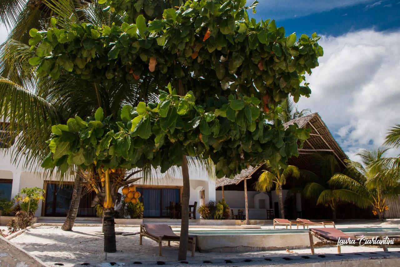 Uroa Zanzibar Vera Beach Hotel By Moonshine Dikoni Zewnętrze zdjęcie